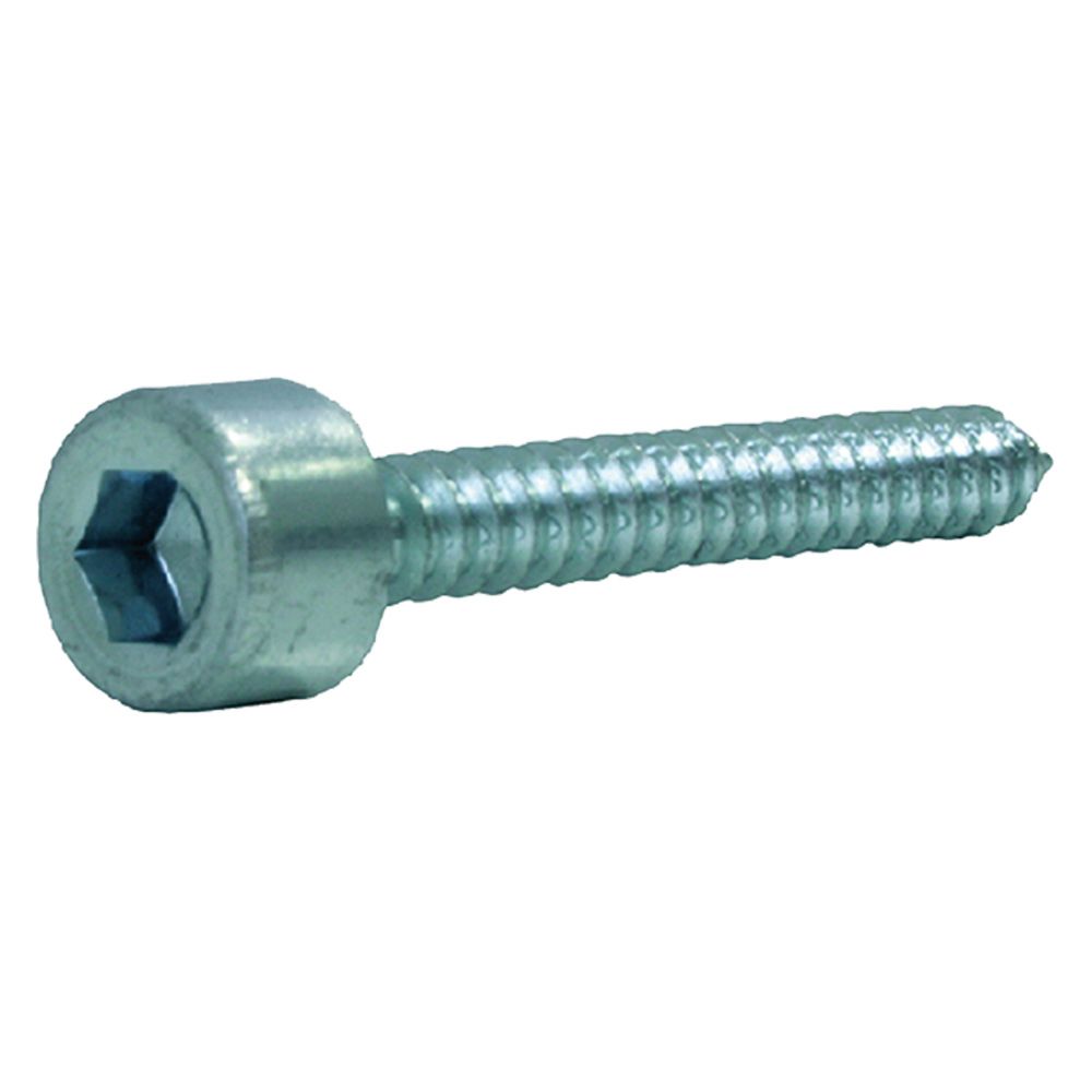 Anteprima Vite autofilettante Ambrovit TCEI 4,8 x 19 mm esagono incassato zincata - 500 pezzi